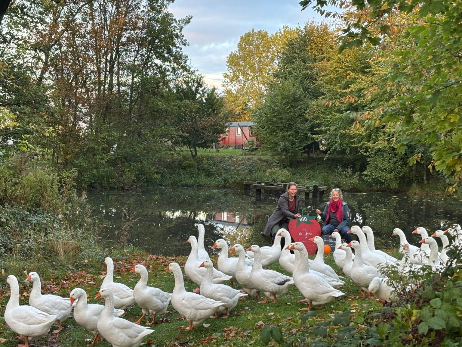 8f381a8e-9dbb-426c-b305-854f142b20a9